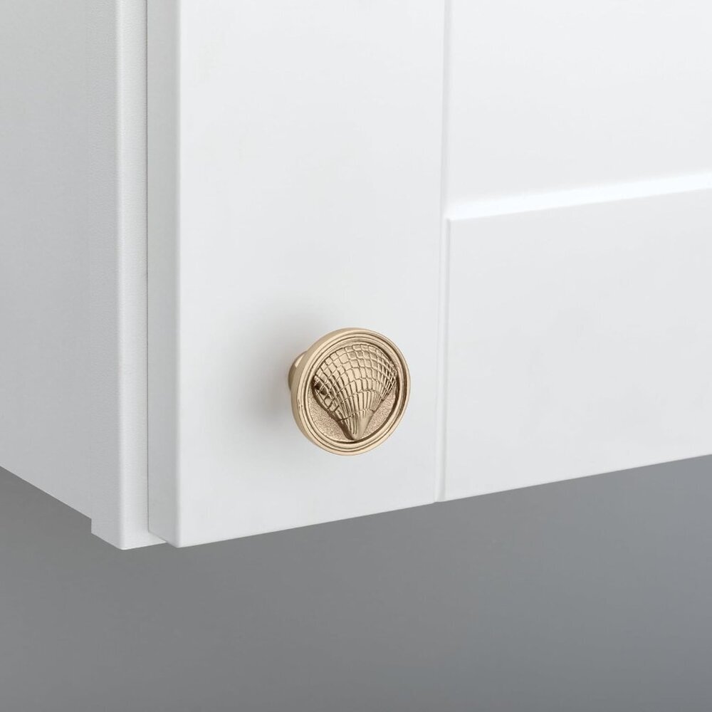 Seaside Cottage 5-Pack Cabinet Knobs | Champagne Bronze Handles for Dresser Furn - Picture 3 of 9